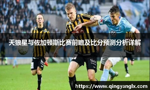 天狼星与佐加顿斯比赛前瞻及比分预测分析详解