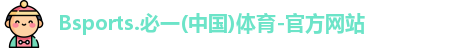 B体育官网